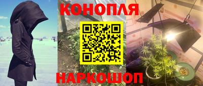 Альфа ПВП Обь