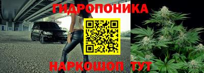 Альфа ПВП Обь