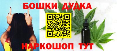 Альфа ПВП Обь