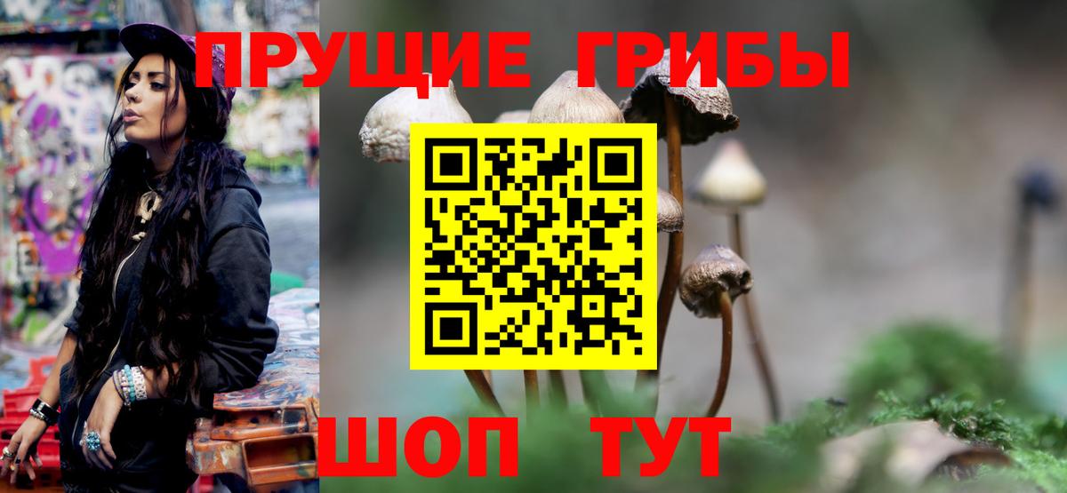 Галлюциногенные грибы ЛСД Петропавловск-Камчатский